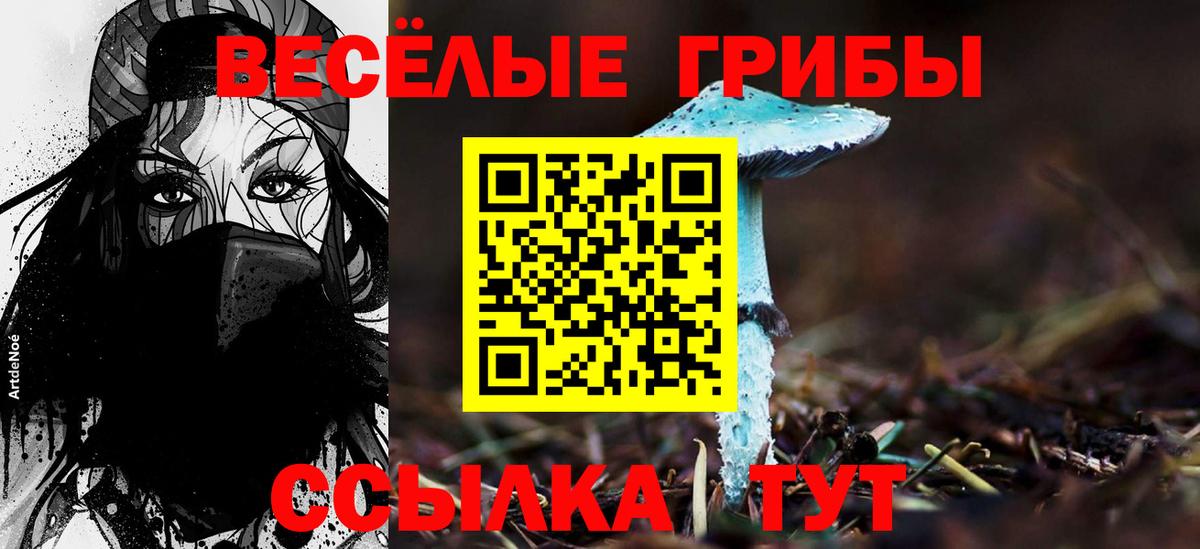 Псилоцибиновые грибы мицелий Ялуторовск